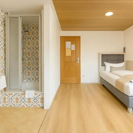 Budget Messehotel By Daucher 3*
